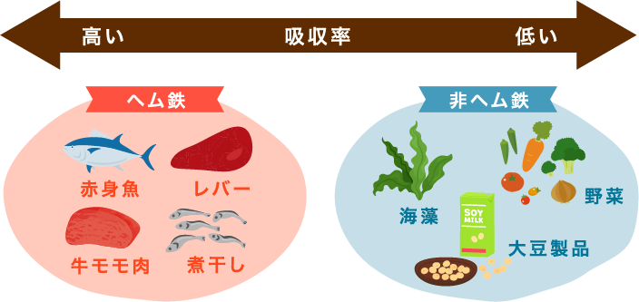 食材ごとの吸収率の比較イラスト