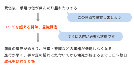 劇症型溶血レンサ球菌の経過