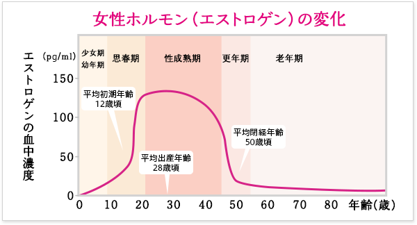 女性ホルモンの変化